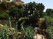 Garden near Valley of the temple Agrigento