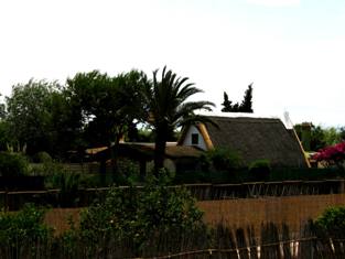 Accommodation in typical houses in Albufera