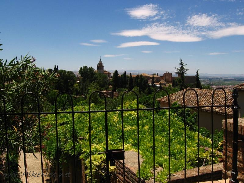 Alhambra greenery of gardens - Granada Spain 