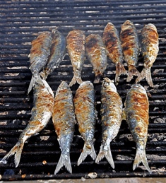 Alvor fishes on grill - Algarve Portugal