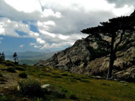 Bavella mountains - Corsica