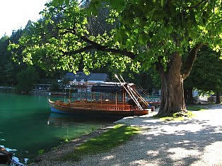 Pletna boat - Lake Bled slovenia