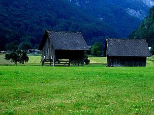 Intact nature of Bohinj Valley