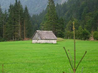 Idilyc pasture in Radovna valley
