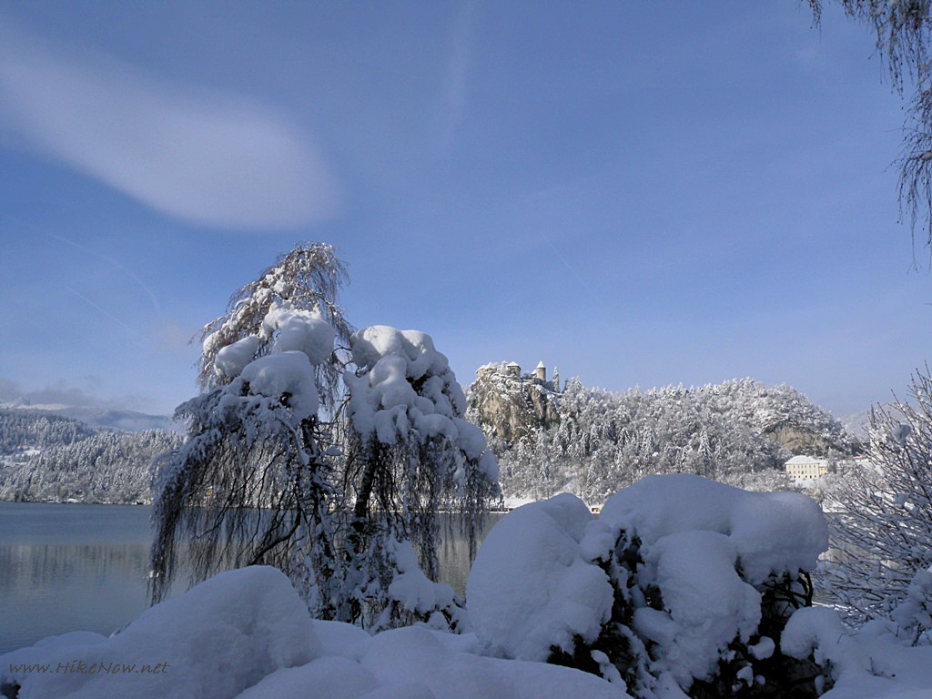 Lake Bled and its mysterious ancient cliff-top castle are transformed into a winter wonderland when decorated by a covering of snow - Slovenia