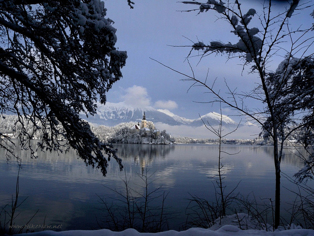 Lake Bled with church on the Island - Slovenia in winter 