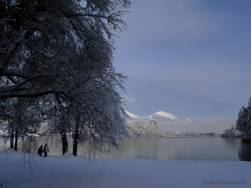 Relaxing walk in peacefull of snowed Lake Bled - Slovenia 