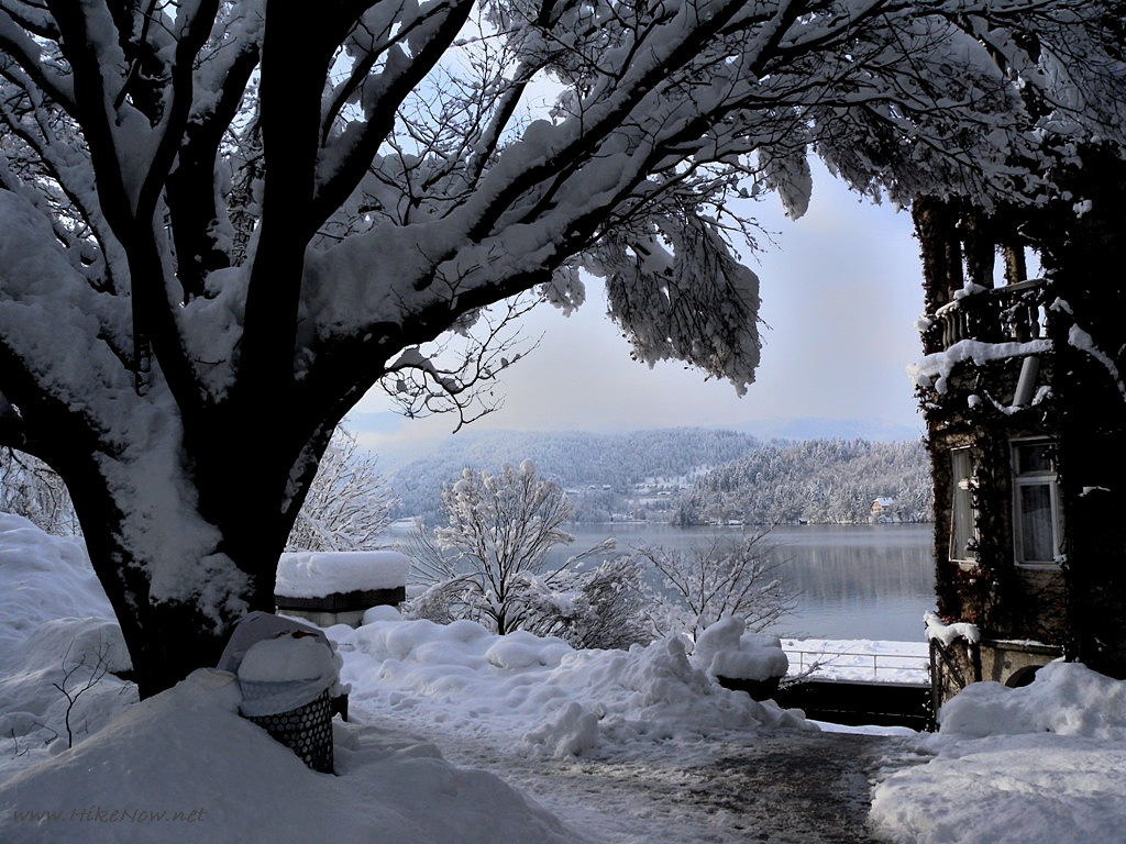 The small town of Bled is attractive in winter - Slovenia 