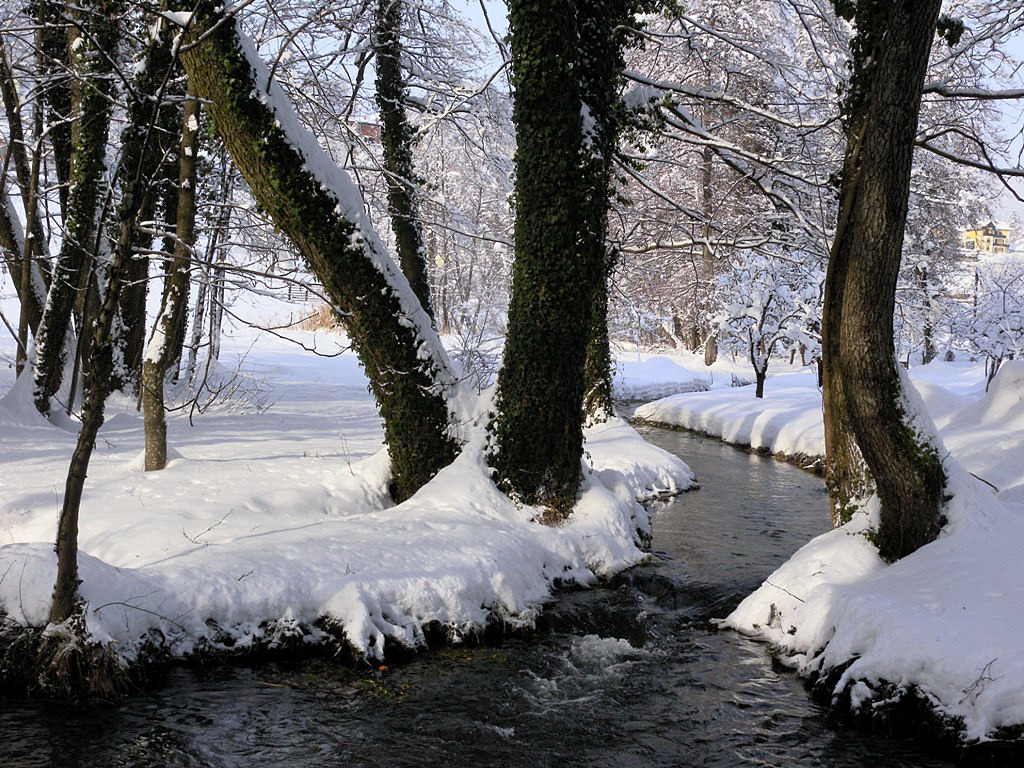 Stream in the wood - Lake Bled Slovenia in winter 