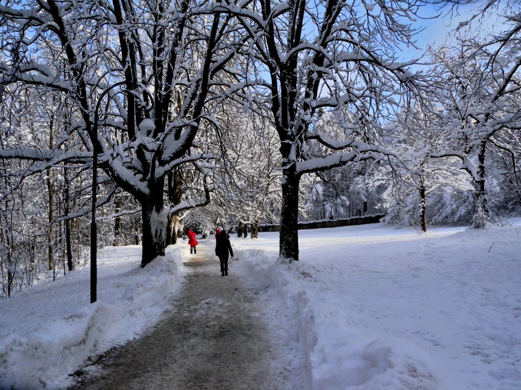 The most romantic route in snowed landscape of Lake Bled - Slovenia 