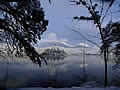 Lake Bled island winter
