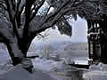 e Bled island winter