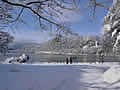 e Bled island winter