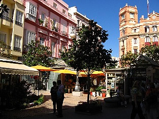 Plaza Flores - Cadiz