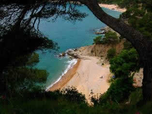 Beach of Cala Llevado Camp