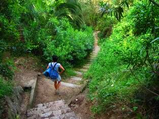 Camp Cala Llevado - descen to the beach