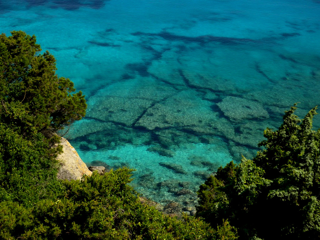 The marine life of area around Capo Testa has been over fished what making marine life sparser than it use to be. Snorkeling offers spectacular underwater landscapes but little marine life - Sardinia 