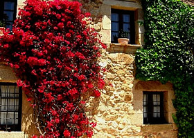 Costa Brava countryside