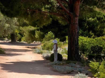 Ile Rousse Saleccia park Corsica