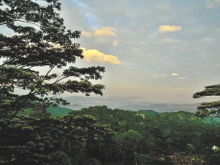 Kandy from Amaya hill
