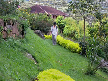 Amaya hill Kandy - walk around hotel garden