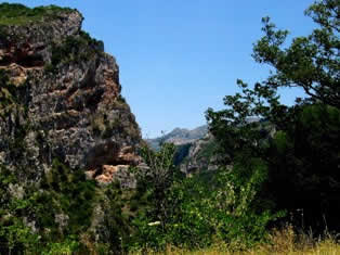 Monastery in cliffs of Lousios gorge