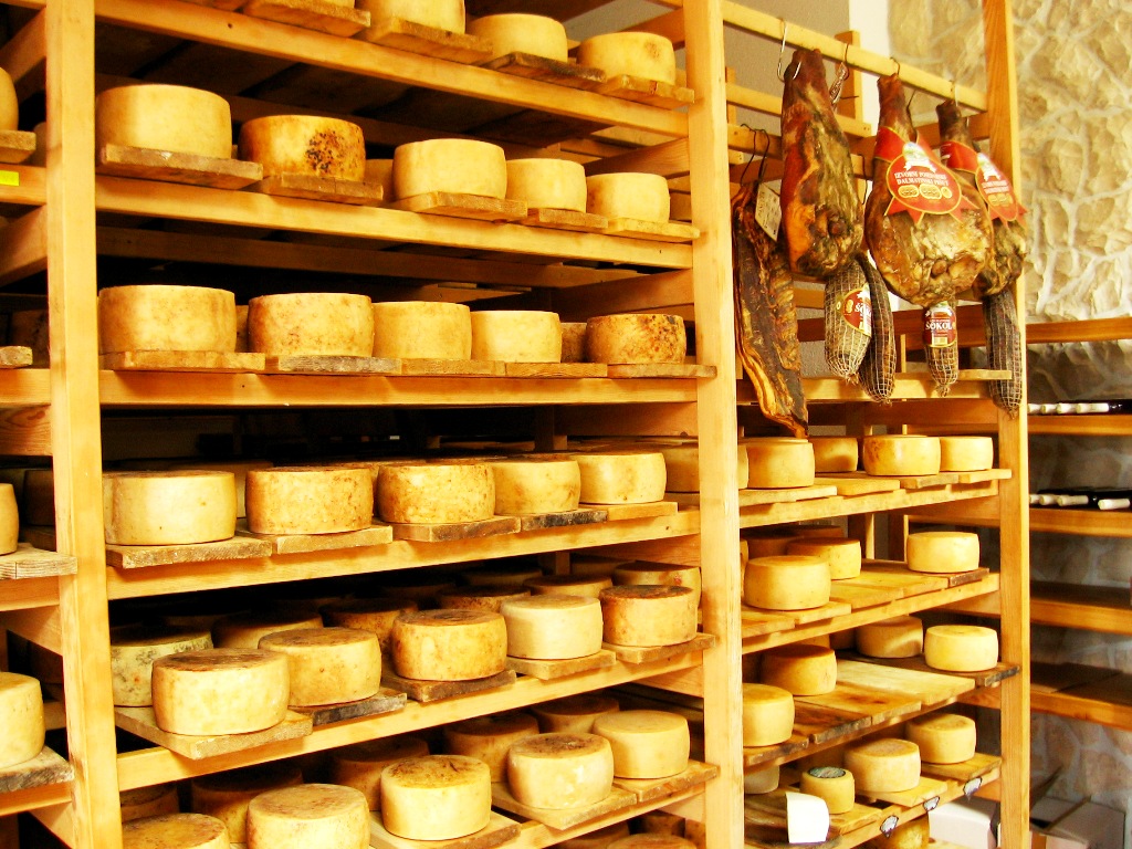 Pag cheese is made of sheep milk, from the autochthon Pag sheep wich has freely pastured on the pastures are rich of aromatic grasses and herbs, Pag Island Croatia 