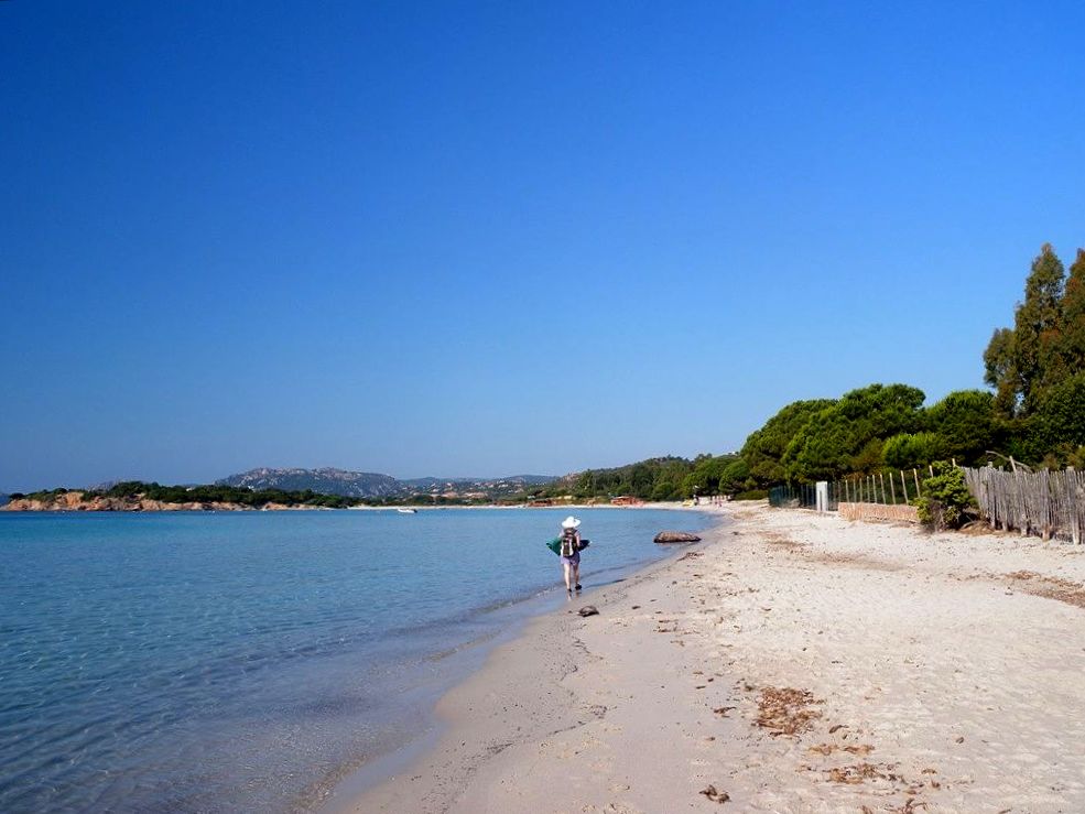 Palombaggia beach in june - Corsica 