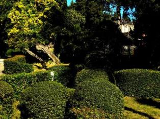 Garden of Portoroz