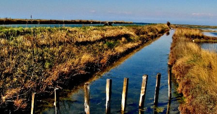 Saltpans Secovlje