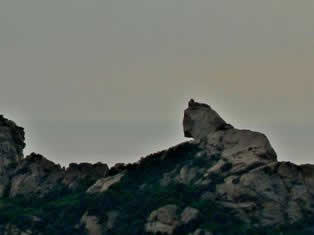 Roccapina Lion Corsica