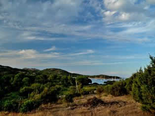 Rondinara Corsica bay