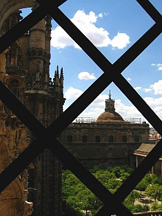 Seville cathedral from tower's window