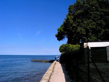 Strunjan coast