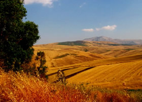 Landscape of Sicily