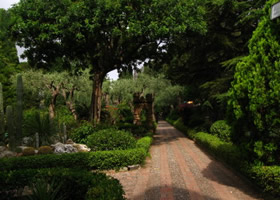 Taormina's garden - Sicily