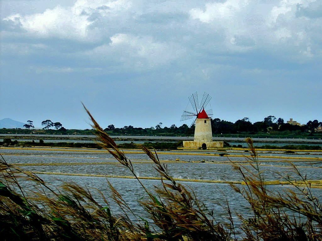 The salt and its historical cultivation have resulted in todays route called the " Way of Salt " with its many recently restored windmills falls under the Reserve Saline Trapani, Paceco and Stagnone Marsala - Sicily, Italy 