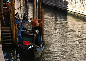 Natives of Venice - daily job