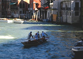 On the coast - Natives of Venice - daily job