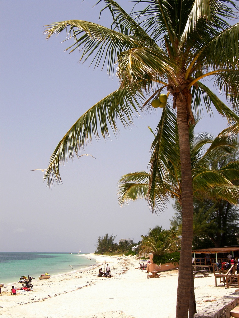 Grand Bahama beach and resort