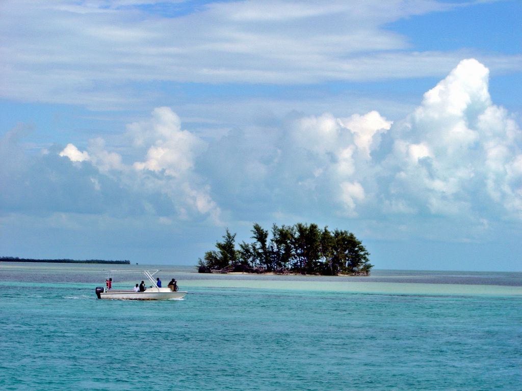 Explore bimini island with a boat