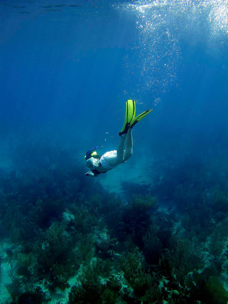 Underwater pictures - snorkeling in Bahamas