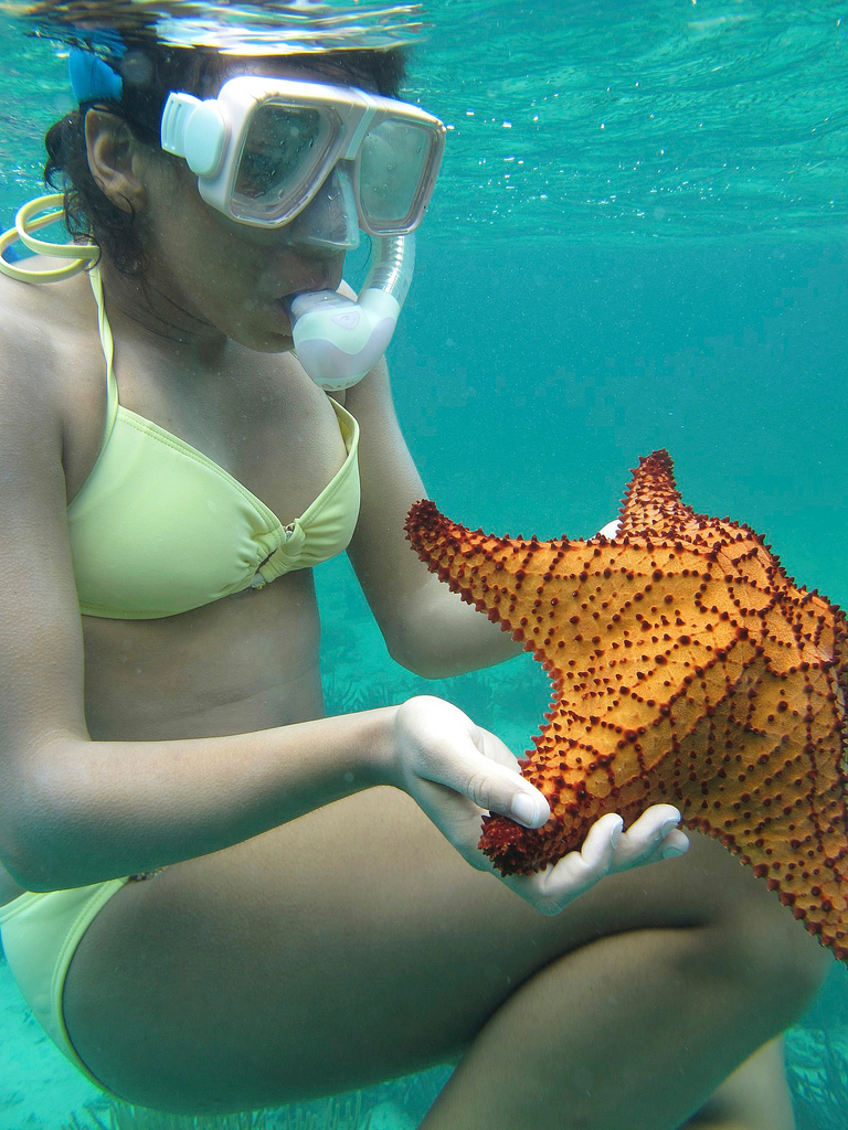 Explore underwater biology at snorkeling in Bahamas