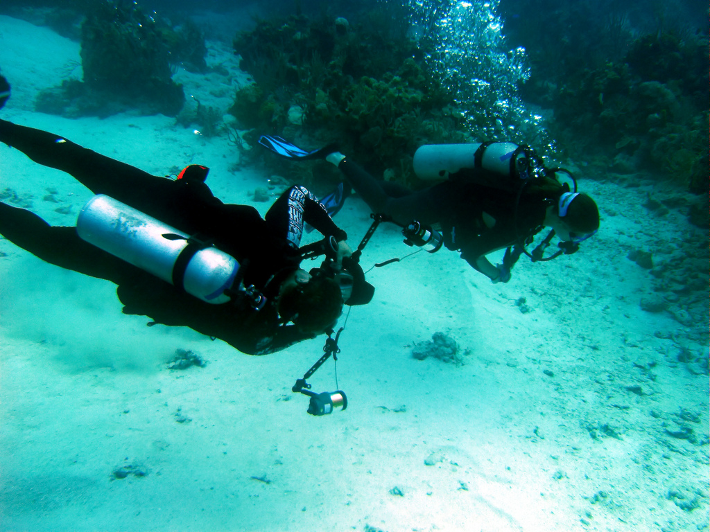 There are many Bahamas resorts that offer scuba diving vacation packages and even lessons for the newbies