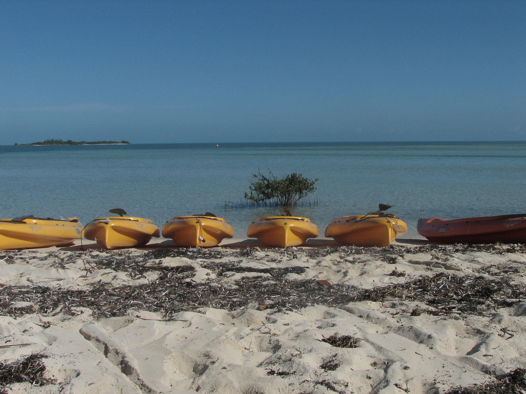 Day for activity in Bahamas - explore the sea on boath with kayak 
