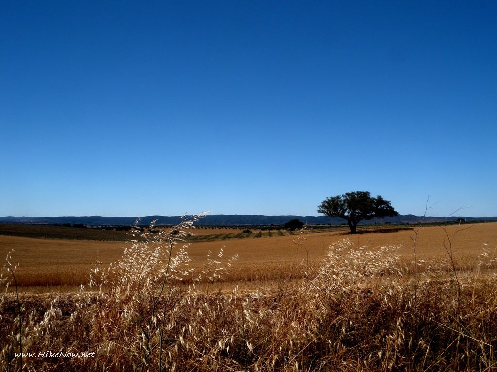 Alentejo is a region that occupies more than a third of Portugal's surface area - Portugal