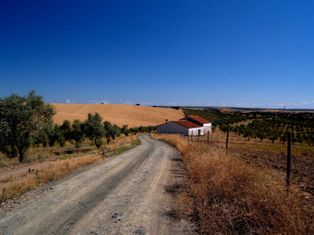 Alentejo landscape with farm and fields - Portugal