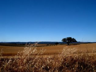 Endless landscape of Alentejo fields - Portugal