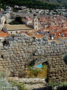 Dubrovnik old town wall and citadel