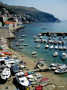 Coast along Dubrovnik , Croatia